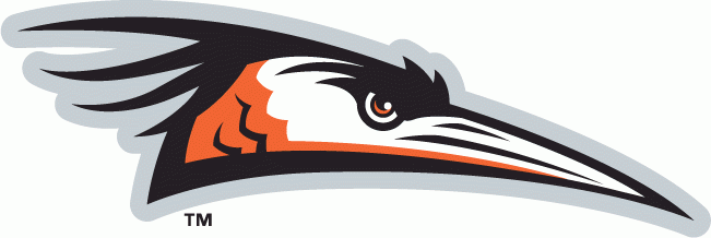 Delmarva Shorebirds 2010-Pres Primary Logo iron on paper